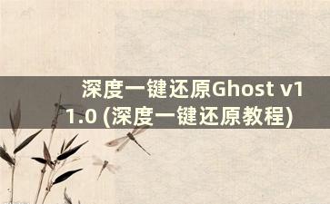 深度一键还原Ghost v11.0 (深度一键还原教程)